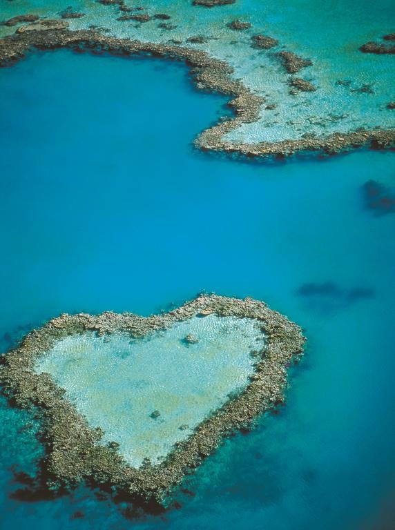 At Waterfront Whitsunday Retreat - Adults Only Aparthotel Airlie Beach Luaran gambar